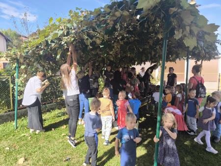 Brotva Vrtec Ljutomer (5)